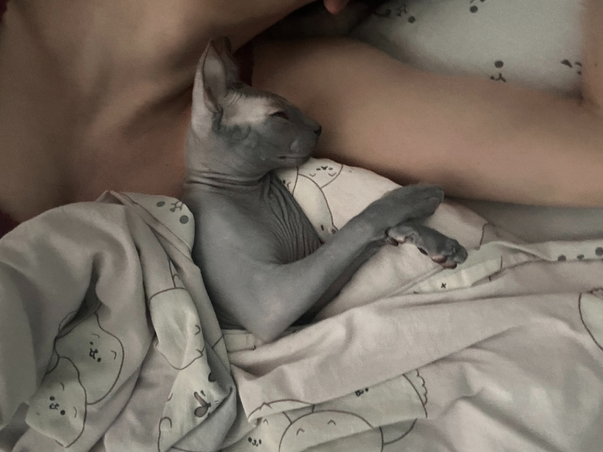 Не слишком удобно, но очень приятно 🩷