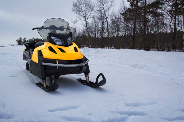 Galina_R/Shutterstock/FOTODOM   📷