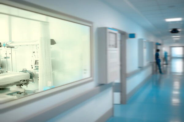 Shutterstock/FOTODOM   📷