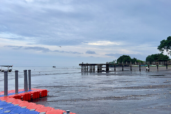 Shutterstock/FOTODOM   📷