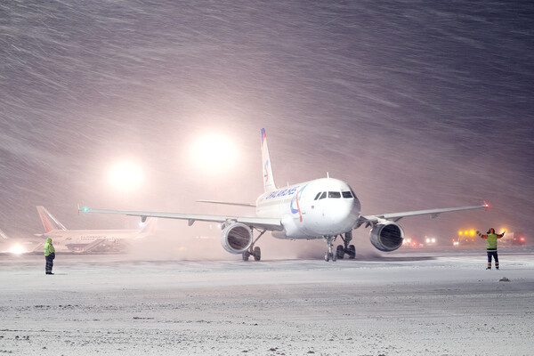 Vereshchagin Dmitry/Shutterstock/FOTODOM   📷