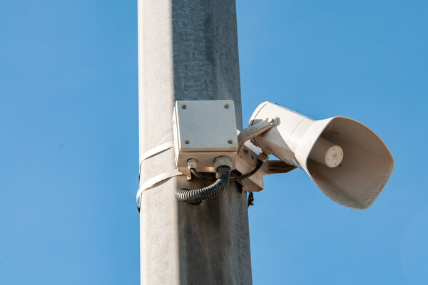 Svetlana Vozmilova/Global Look Press   📷