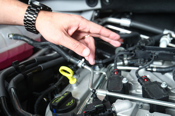 Кирилл Брага/РИА Новости   📷