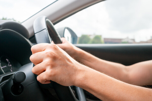 Shutterstock/FOTODOM   📷