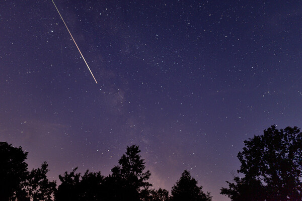 Sofoklo/Shutterstock/FOTODOM   📷