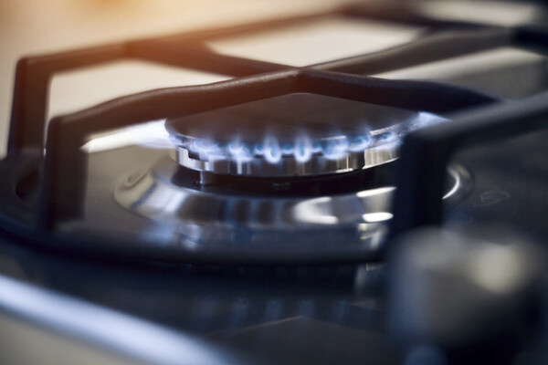 Elya Vatel/Shutterstock/FOTODOM   📷