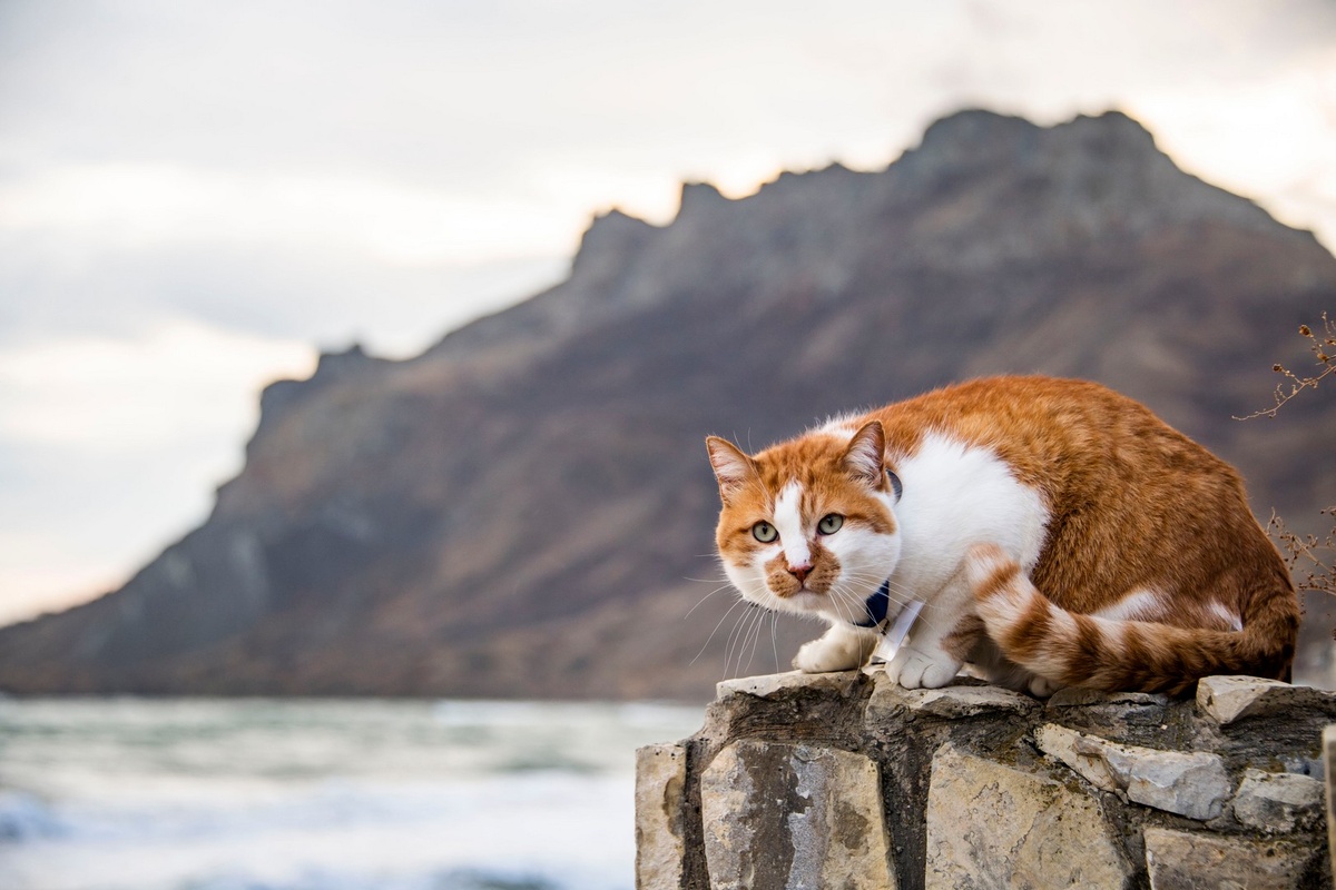 А мы хороши