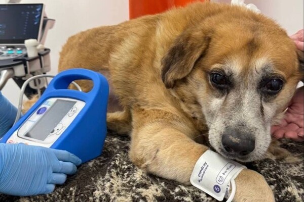 Telegram-канал «Осторожно, новости»  📷