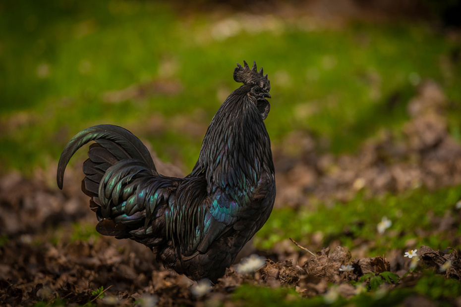    Shutterstock/FOTODOM