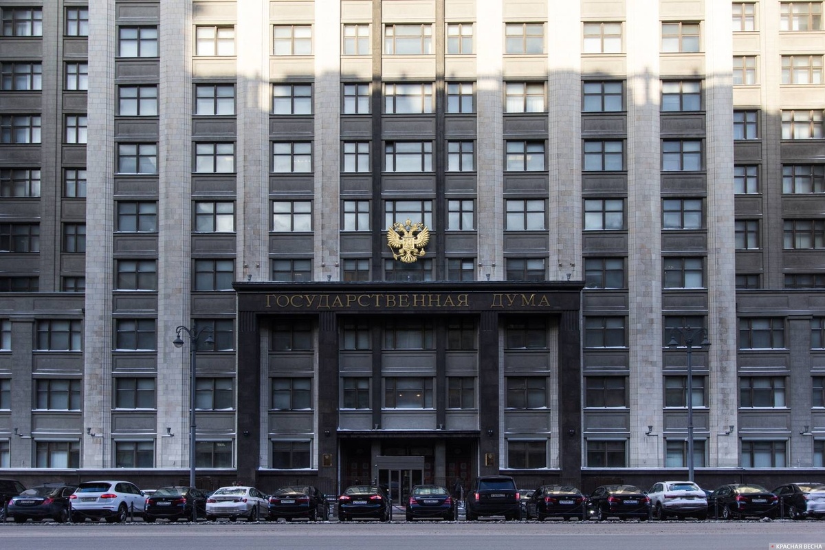     Государственная Дума   
Петр Данилов © Красная Весна