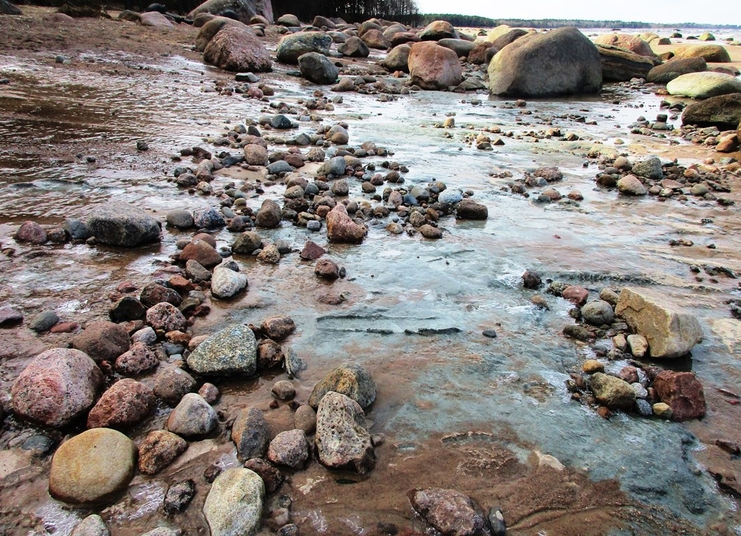 Фотография с сообщества в ВК "Маяк Сосновый Бор" vk.com/mayaksbor