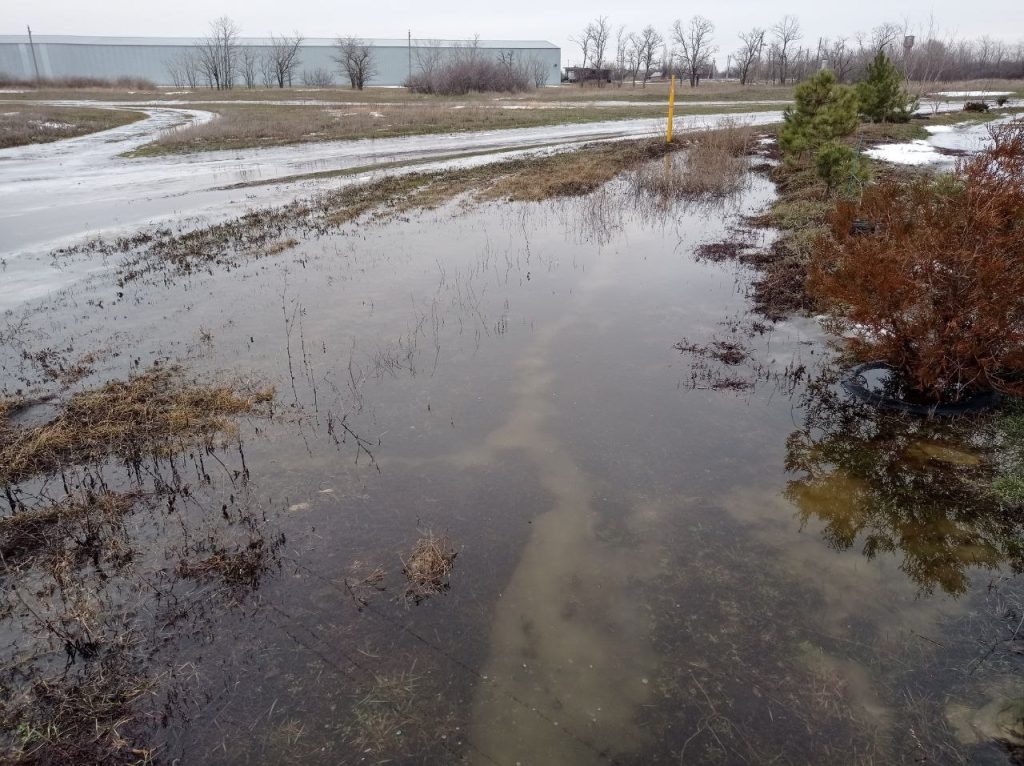    Фото: Л. Казмерова. Газета "Земля"