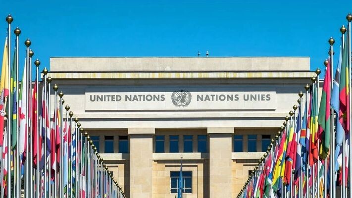    Фото: Delpixel/Shutterstock/Fotodom