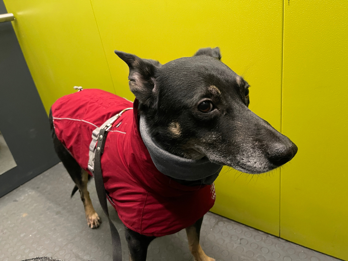 Ну... Я же не просто так стараюсь, правда же 🤔?