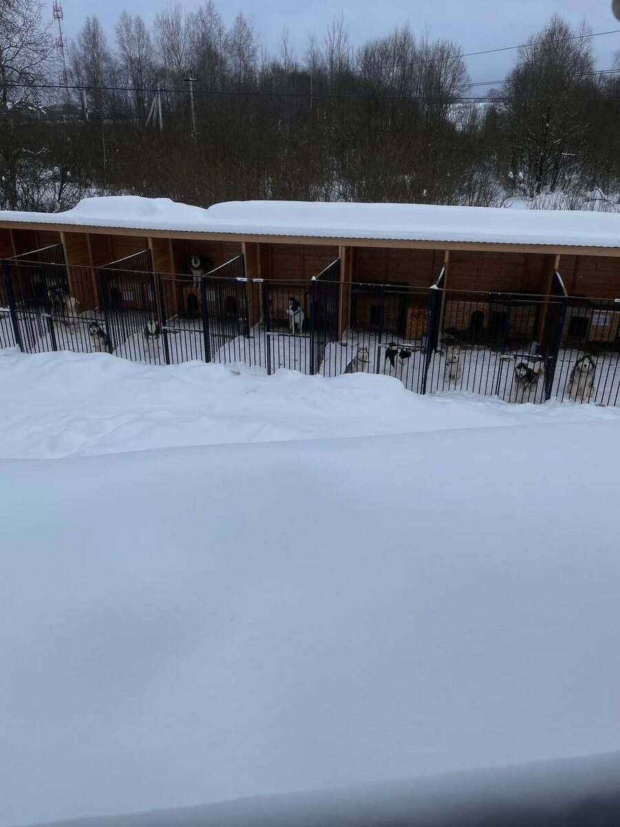 Их много, но они все-равно верят и ждут...