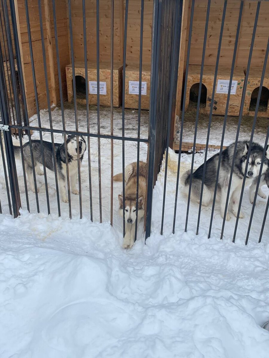 Они всё-еще надеются и ждут своего человека...