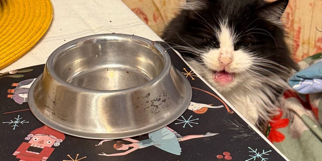 События и красоты теплого домика