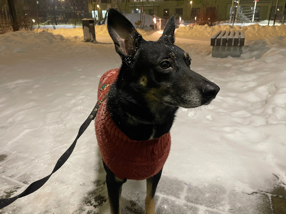 Это, собственно, я на прогулке зимой 😁