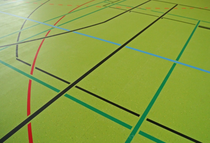 Тренера волейбольного «Зенита» Алекно оштрафовали на 100 тыс. рублей за мат