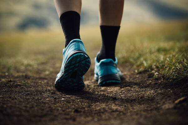 lzf/Shutterstock/FOTODOM   📷