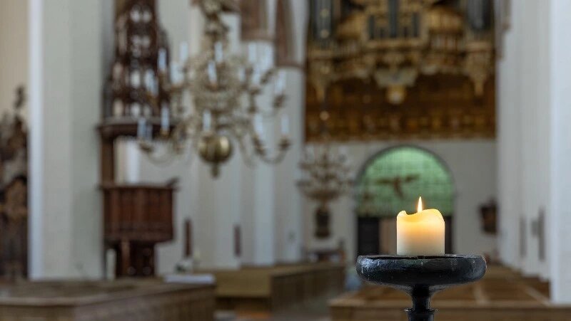      Фото: @pvproductions / ru.freepik.com