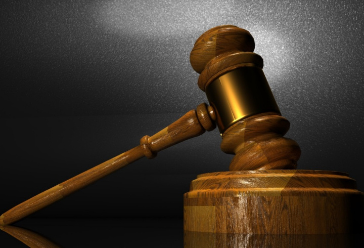 Суд взыскал 100 тыс. рублей с жителя Ангарска за нападение собаки на 11-летнюю девочку