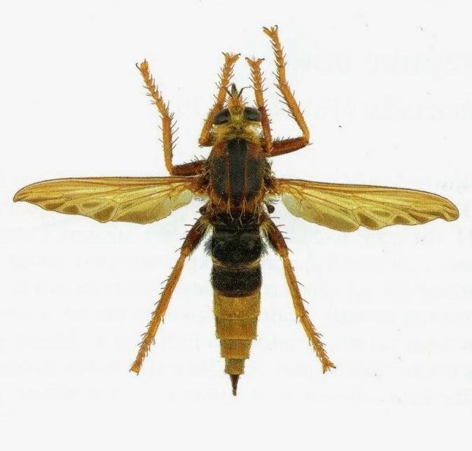 Фото из Сети