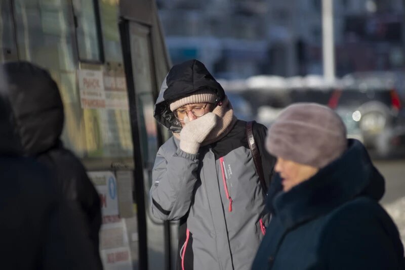 40-градусные морозы обрушатся на Алтайский край. Прогноз на 25 февраля