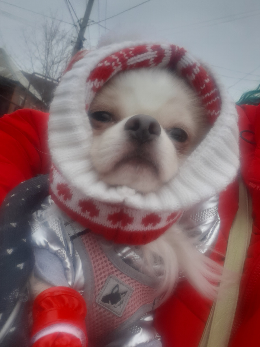 Мика едет в магазин.