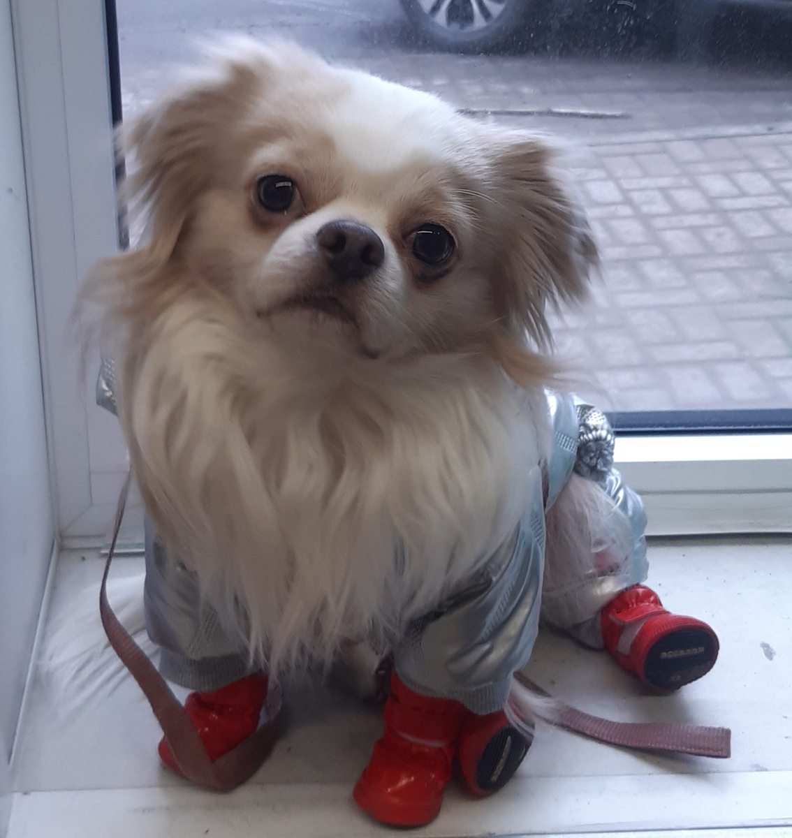 Приехал в магазин.