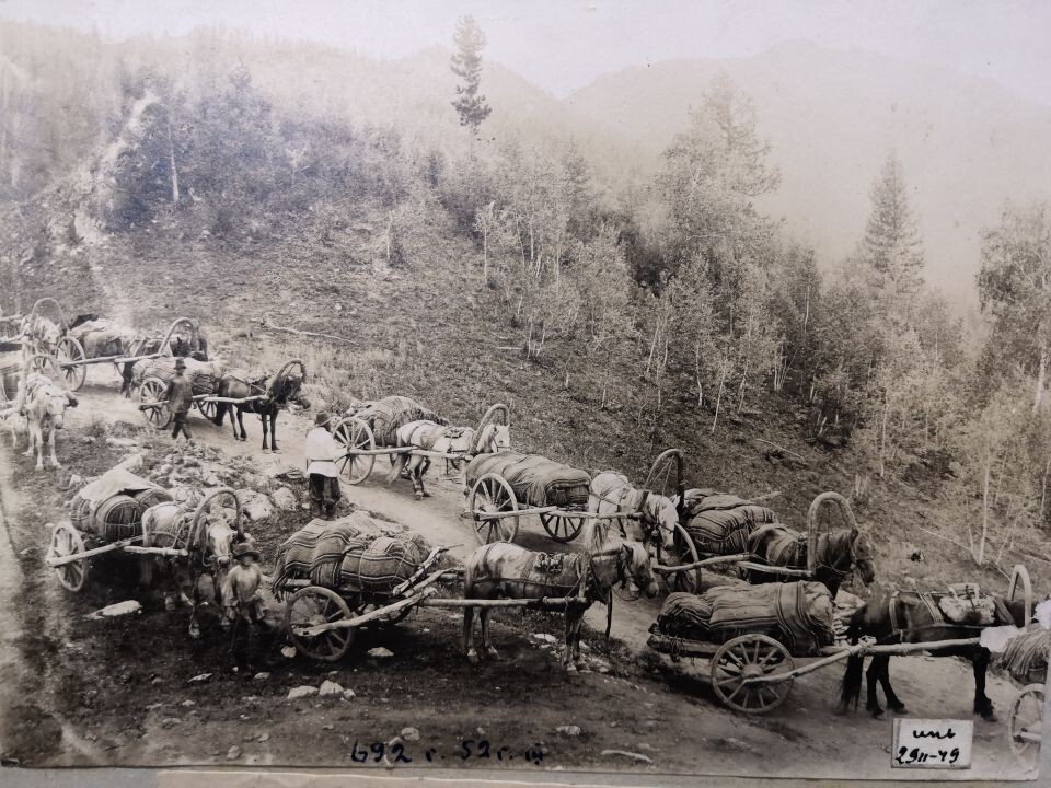    Обоз на перевале Чике-Таман по Чуйскому тракту . Источник: goskatalog.ru, архив АГКМ, Лапин В.