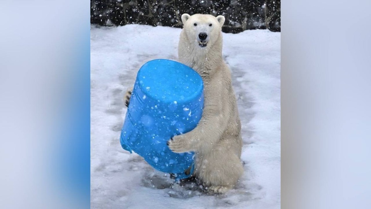 Фото: Ленинградский зоопарк