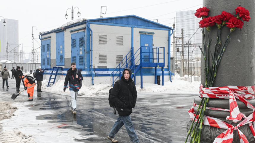    Фото: © РИА Новости/Михаил Воскресенский; 5-tv.ru