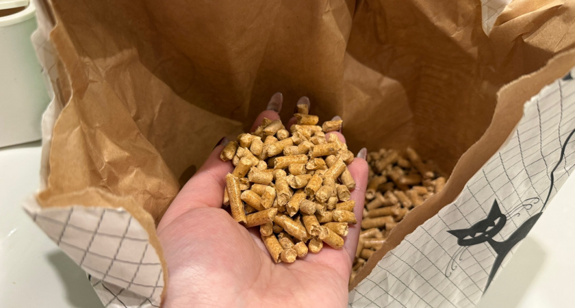    Фото progorod43.ru