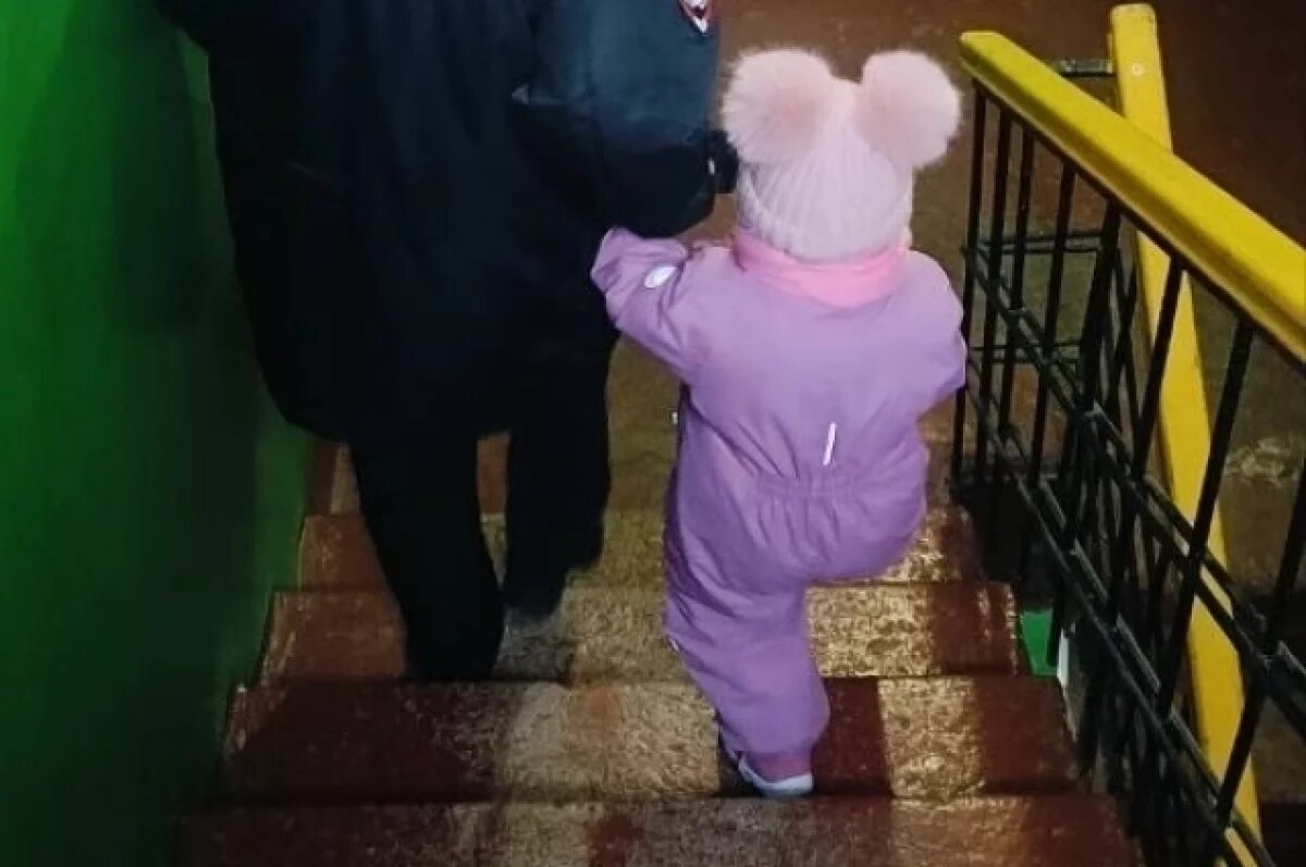    Полицейские столкнулись с вопиющими фактами жестокости к детям на Камчатке