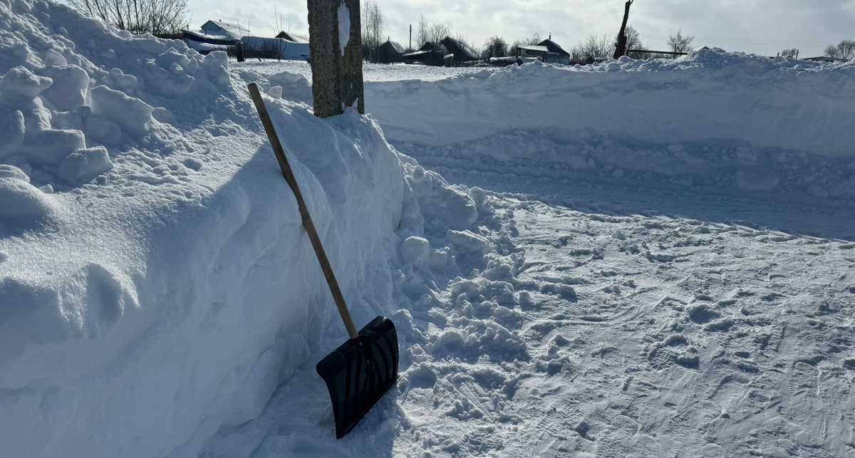    Фото: ПроГород