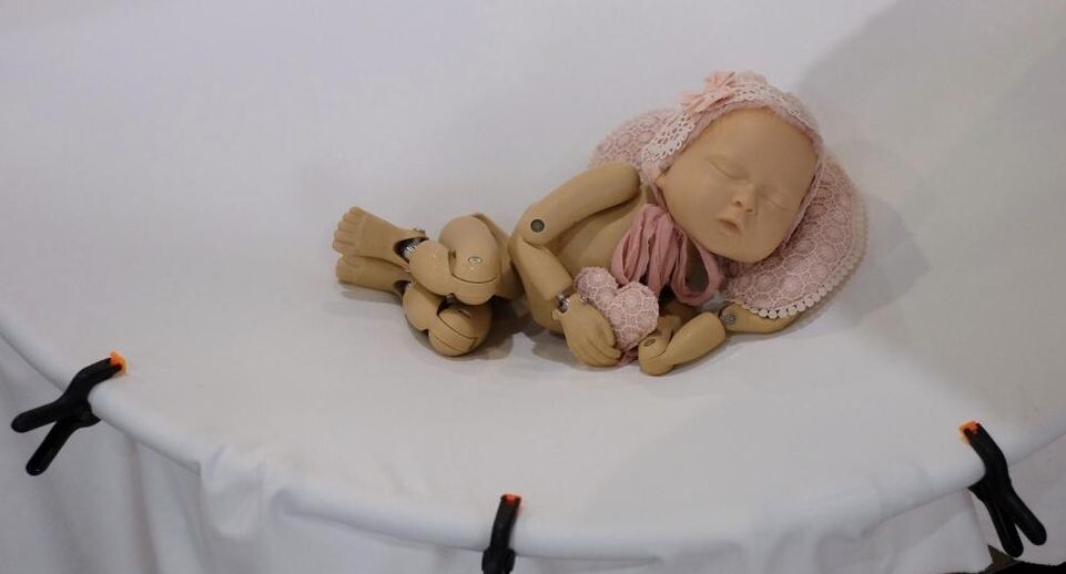    РИА «Новости»