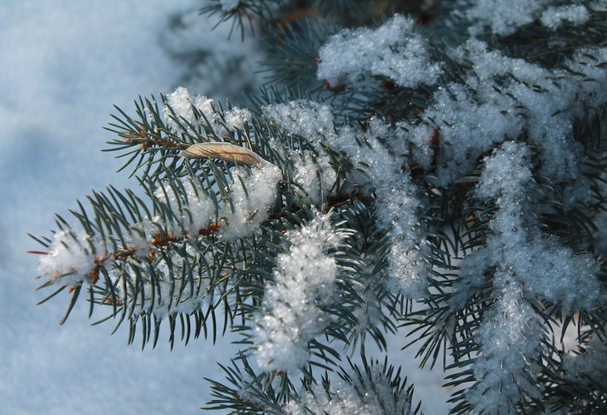 Фото из личного фотоархива