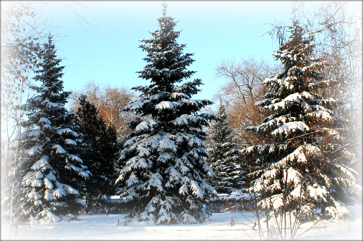 Фото из личного фотоархива