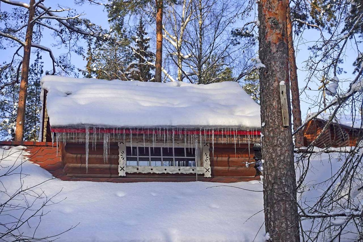 Житель Белоруссии выставил на продажу деревню Веселуха.  Фото: ФедералПресс / Татьяна Буторина