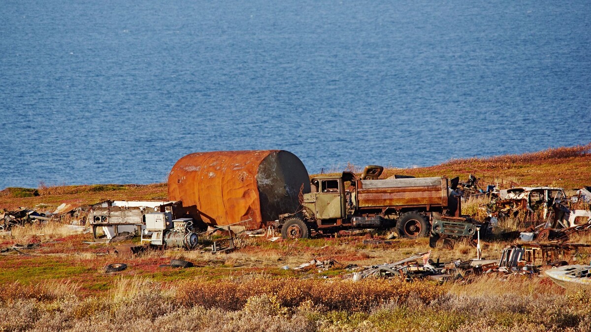    Фото: Artic_photo/Shutterstock/Fotodom