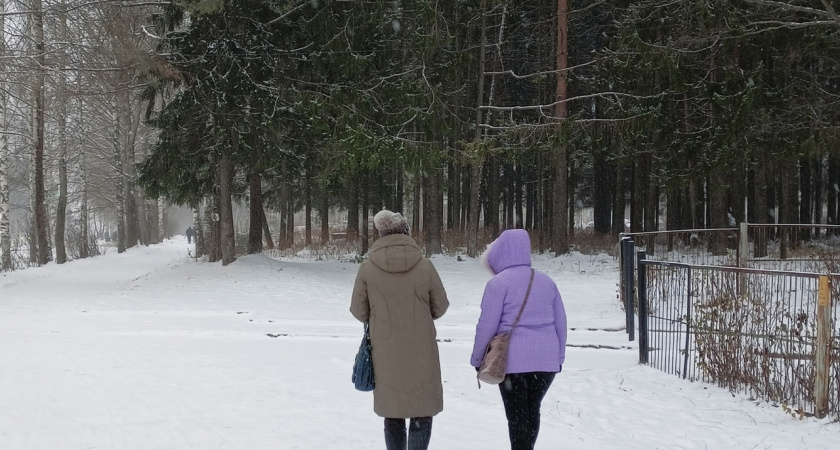    Фото progorod43.ru