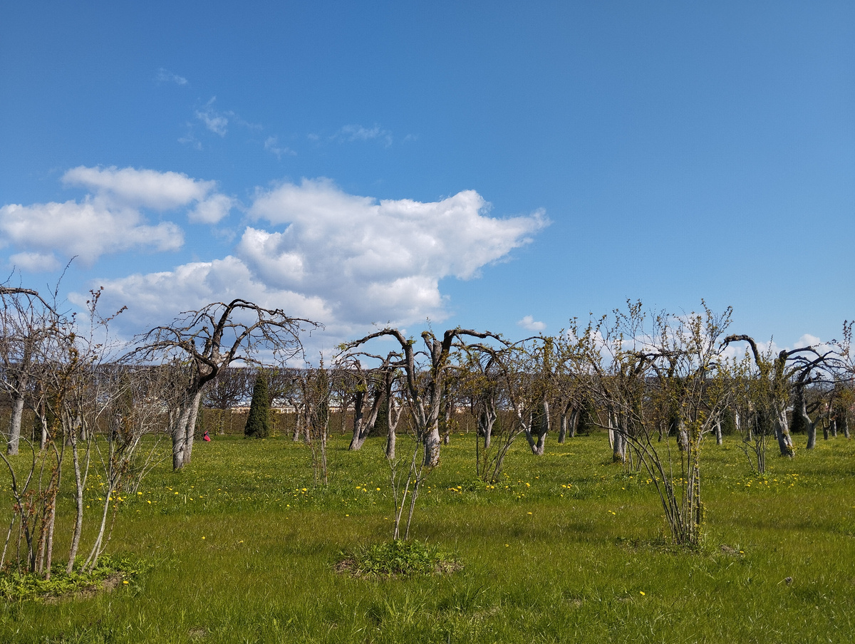Верхний сад Петергофа