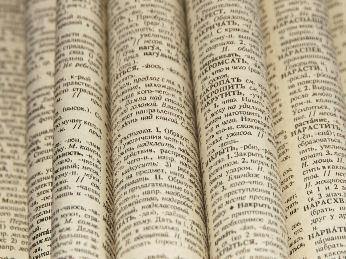    Словарь русского языка | © Fotolia / daria_riza