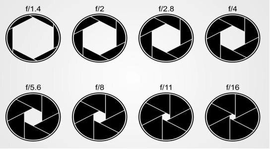 Примечание: Изображение взято из интернета.