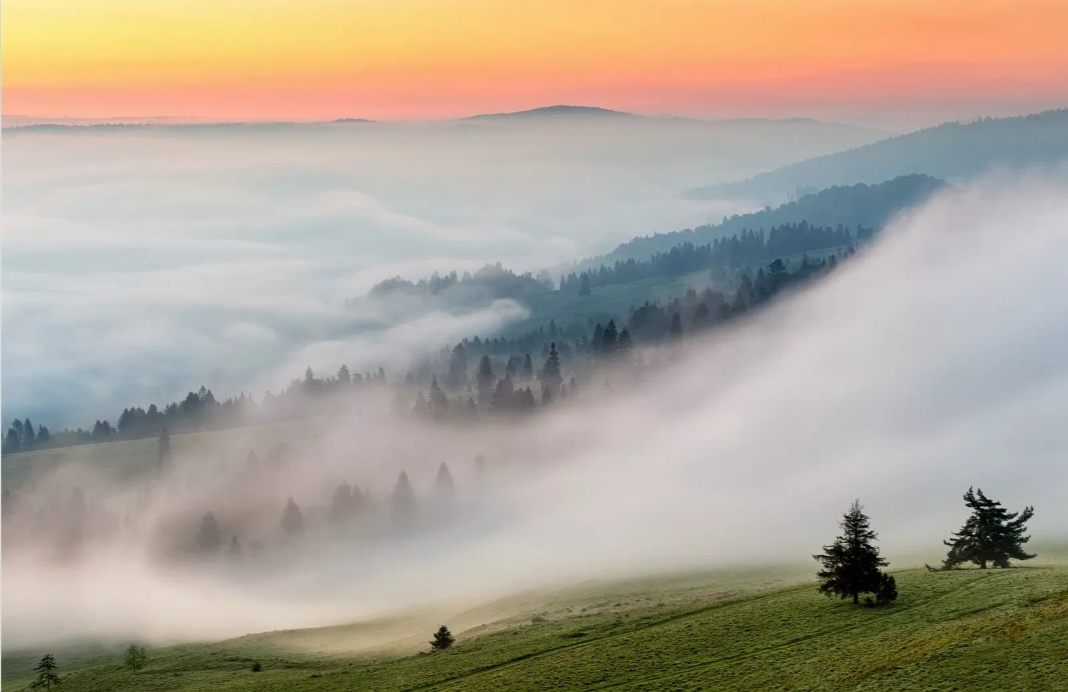 Изображение из Яндекс картинки 