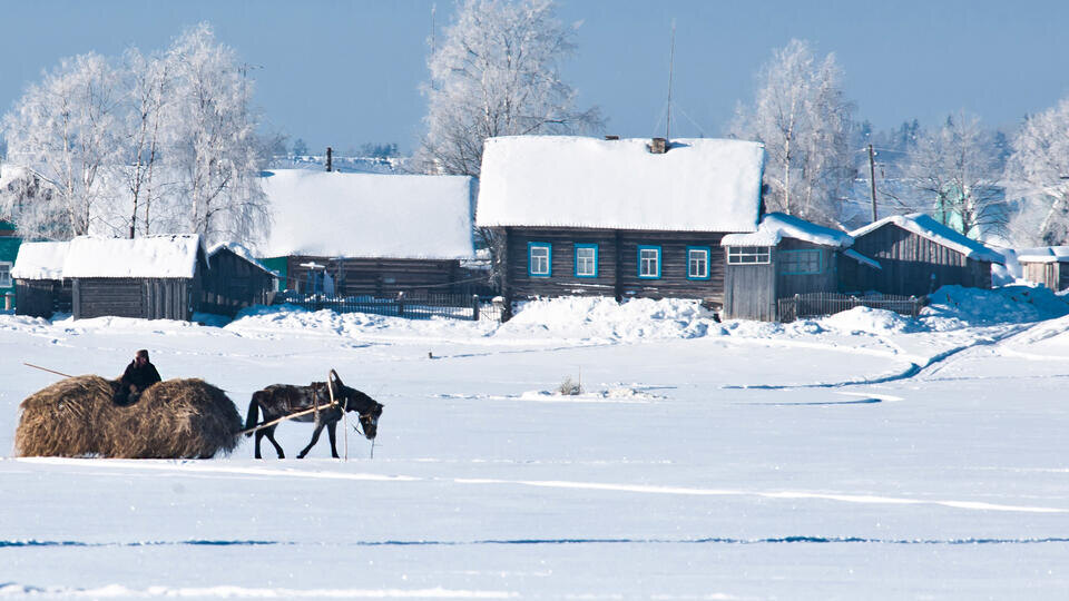     Белорусскую деревню Веселуха выставили на продажу за $10,5 тысячи ИЗВЕСТИЯ/Константин Кокошкин