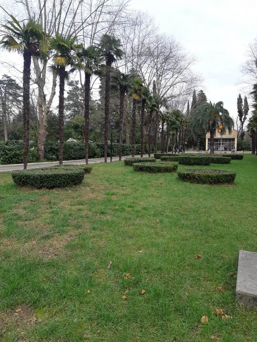 Парк Ривьера Сочи