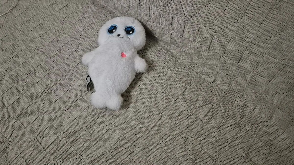    Фото: телеканал «Краснодар»