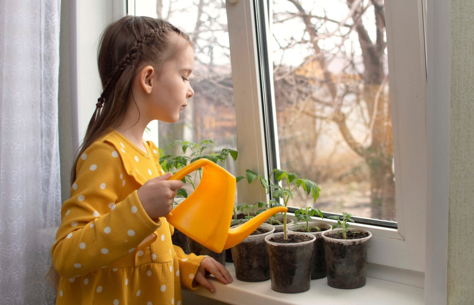    Shutterstock/FOTODOM